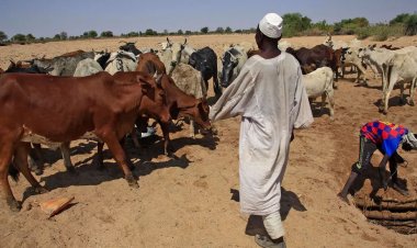 المدعي العام الجديد للمحكمة الجنائية الدولية يزور السودان