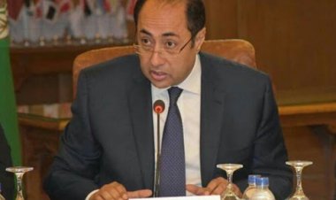 زكي بعد لقائه دياب: الوضع يجب ان يشهد حلحلة سياسية