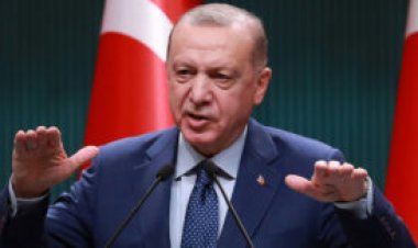 أردوغان وجونسون قلقان إزاء "الحشد العسكري" الروسي على حدود أوكرانيا