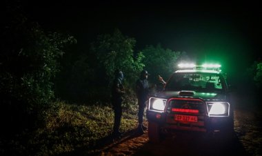 سرقة الأفوكادو تدرّ إيرادات طائلة في جنوب إفريقيا