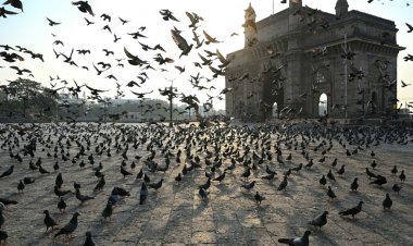 وفاة أكثر من ألفي شخص بكورونا خلال 24 ساعة في الهند في عدد قياسي جديد