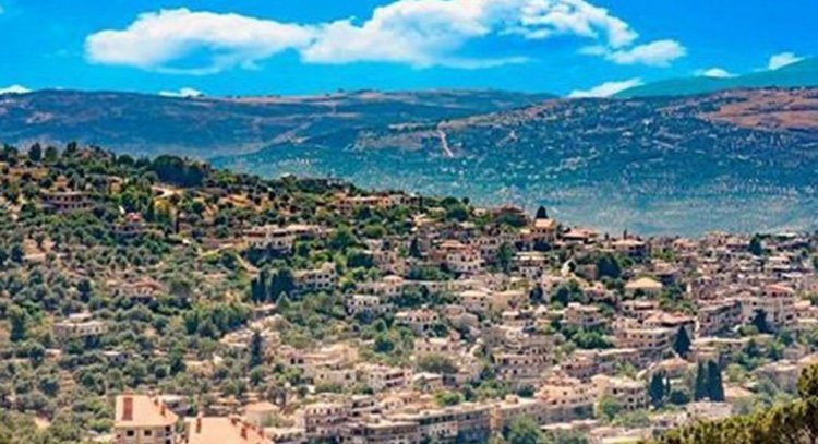 أكثر من 60 ألف شتلة خضار الى أهالي راشيا وحاصبيا والبقاع الغربي