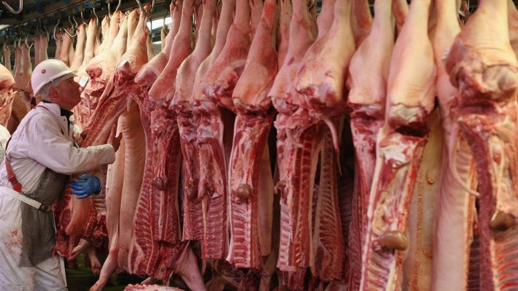دورية لامن الدولة ضبطت مستودعا في دورس يوضب لحوما فاسدة ويبعها مجلدة