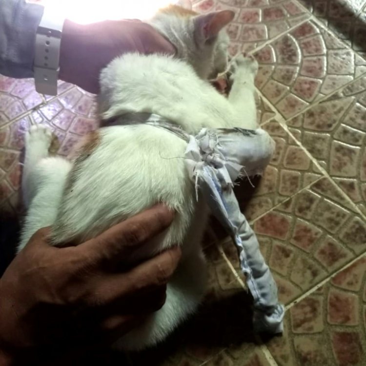 هر يهرب المخدرات في أحد سجون بنما