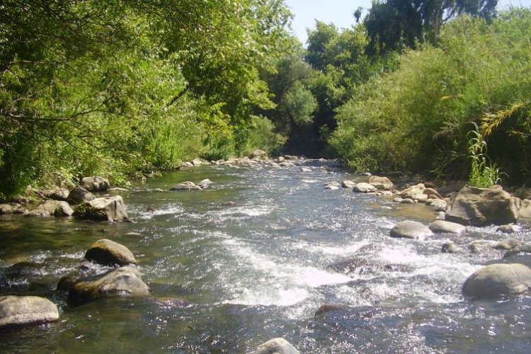 العثور على جثة في نهر الحاصباني