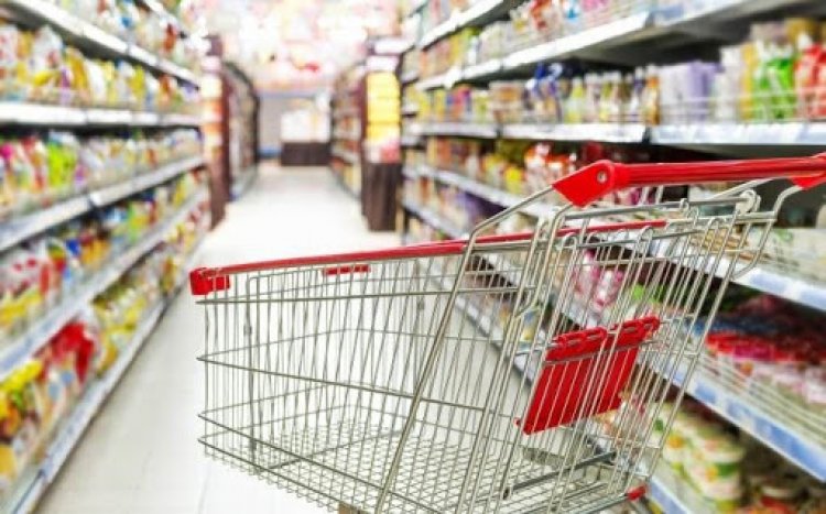 كم بلغ عدد الأسر المسجّلة على شبكة “دعم” للحماية الإجتماعية؟
