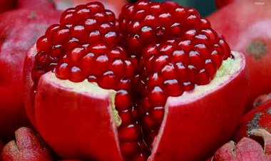 طبيبة روسية تكشف علاقة بذور الرمان في علاج الأمعاء