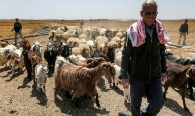 مواشي سوريا محرومة من مراعي البادية بسبب الجهاديين والألغام