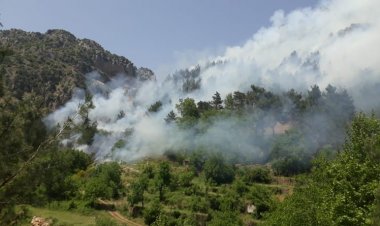 حريق في خراج الفرديس والدفاع المدني أخمده