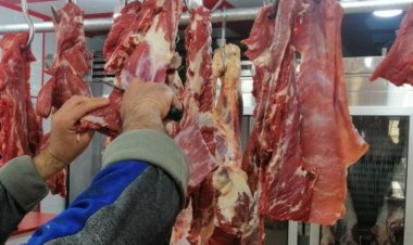 قصّابون يشترون البقر المريض.. ويخلطون نفايات اللحم بالقوانص