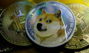 ايلون ماسك يسأل متابعيه عن قبول تيسلا لعملة Dogecoin
