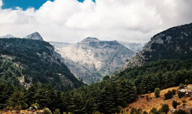 المشرفية وسفير اليابان في محمية إهدن