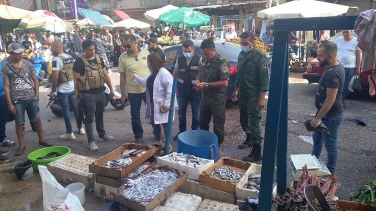 بالصور..  أسماك غير صالحة للإستهلاك البشري معروضة للبيع في سوق صبرا الشعبي
