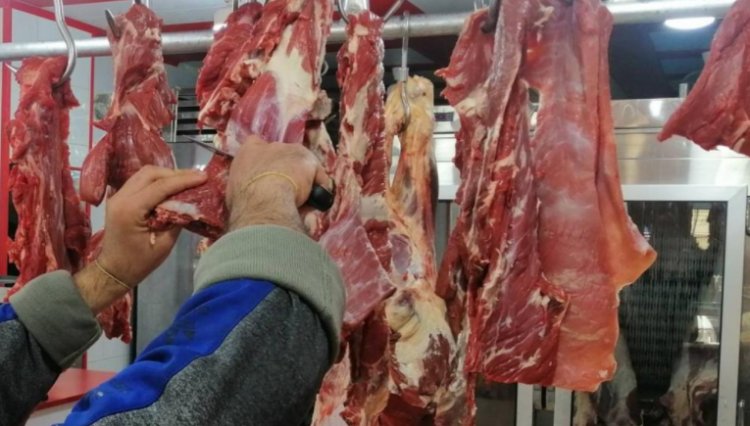 قصّابون يشترون البقر المريض.. ويخلطون نفايات اللحم بالقوانص