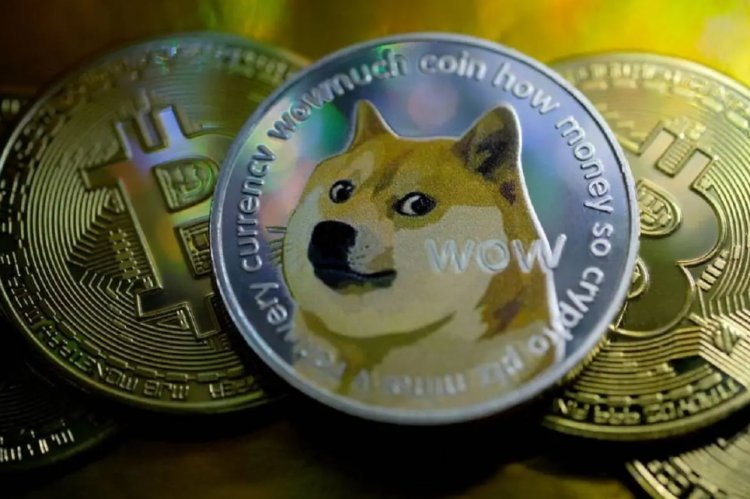 ايلون ماسك يسأل متابعيه عن قبول تيسلا لعملة Dogecoin
