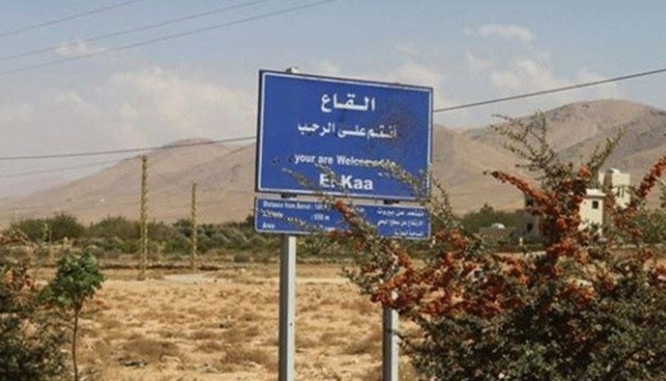 عصابات مسلحة تسطو على المشاريع الزراعية في سهل القاع