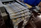 خبير اقتصادي يكشف مصدر الدولارات ومستقبل سعر الصرف