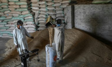 خلاف جديد بين الهند وباكستان محوره أرز البسمتي