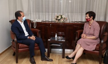 سامي الجميل التقى فرونتسكا: للضغط باتجاه تأمين اشراف دولي على الانتخابات صونا للديموقراطية