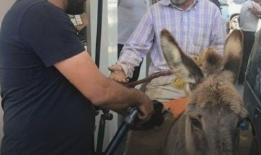 بالفيديو..  مواطن  يصل إلى محطة الوقود على الحمار للحصول على البنزين