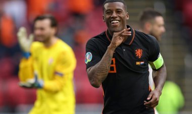 في سن الثلاثين.. فينالدوم يخرج من الظل مع منتخب هولندا