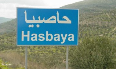 وفد القوات من حاصبيا: أرض المحبة والتعايش