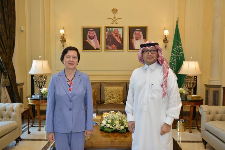 بخاري التقى فرونيسكا وبحثا في التطورات اللبنانية والإقليمية