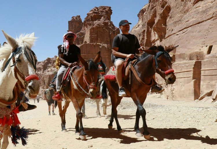 في مدينة البتراء الأثرية الخالية من السياح الرواحل تتضور جوعا