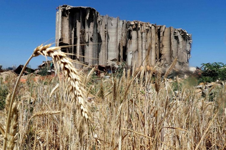 حميه ناقش مع غريو إعادة إعمار المرفأ والدور الاستراتيجي لسكك الحديد