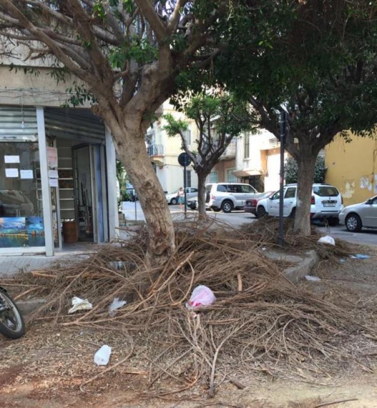 المجلس الأرثوذكسي: فوضى عارمة في بيروت في غياب دور المحافظة والمجلس البلدي