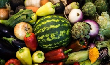 مواد غذائية لاستعادة صحة الكبد