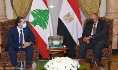 شكري خلال استقباله الحريري: على الأطراف اللبنانية تغليب المصلحة العليا للبلاد على المصالح الضيّقة