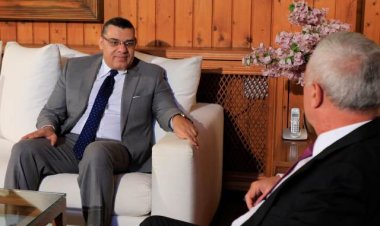 فرنجيه استقبل السفير المصري وعرض معه الأوضاع الراهنة