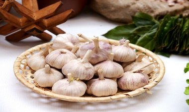 من تقوية جهاز المناعة إلى خفض الكوليسترول .. 5 فوائد صحية رئيسية للثوم