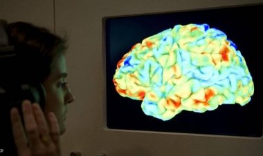مركب موجود في الفاكهة يحمي الدماغ من مرض الـ باركنسون