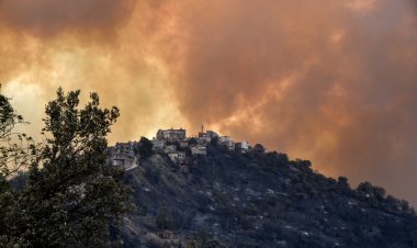 69 قتيلا في حرائق الغابات في الجزائر وجهود إطفاء النيران مستمرة