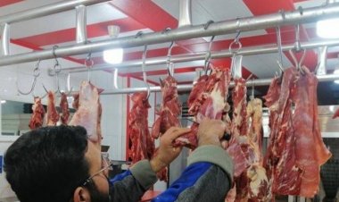 رئيس بلدية يبيع اللحم المدعوم بأسعار السوق السوداء !