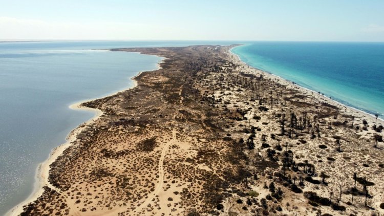 جزيرة فروة الليبية تنتظر من ينقذها من التلوث والإهمال