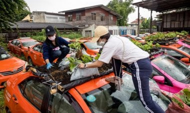 مولوي بحث مع عبود وعيتاني في أسباب تأخر افتتاح سوق الخضار الجديد