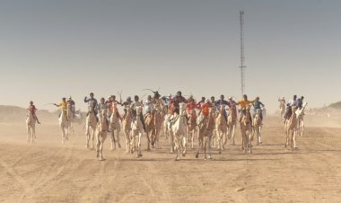 تَنافُس على "مجد الصحراء" في سباق إنغال للجِمال في النيجر