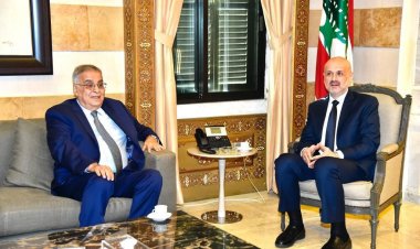 اقتراع المغتربين بين وزيري الداخلية والخارجية