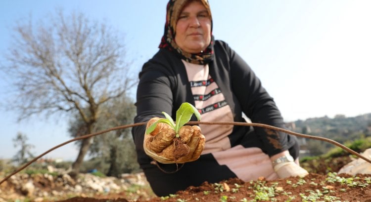 مرتضى: نعمل على تطوير آليات حوكمة جديدة لإصلاحات تؤمن استمرارية الزراعة والغذاء