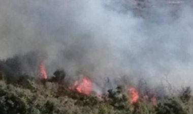 اندلاع حريق في الحريشة بين بلدتي البلمند وانفه والدفاع المدني يعمل على إخماده