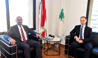 وزير البيئة عرض مع السفير البريطاني لمؤتمر تغير المناخ وبحث مع وفد فرنسي في معالجة الحبوب في مرفأ بيروت 