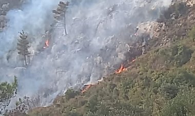 حريق في خراج بلدة قبعيت يعمل الدفاع المدني والاهالي على محاصرته