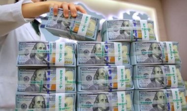تهريب 220 مليون دولار من حقوق السحب