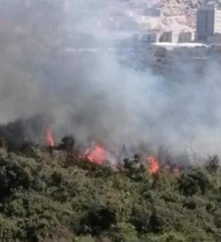اندلاع حريق في الحريشة بين بلدتي البلمند وانفه والدفاع المدني يعمل على إخماده