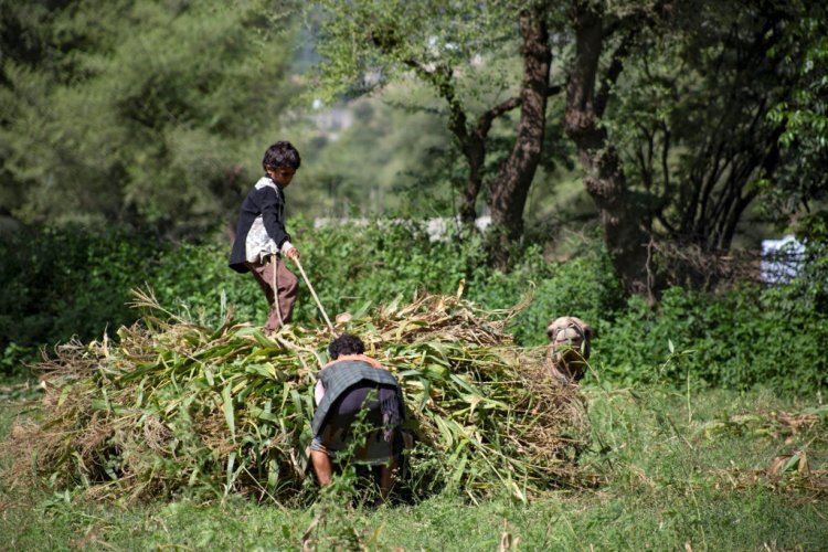 هذه حصيلة اصابات الأطفال في اليمن