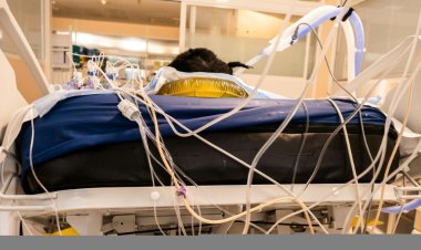 الزنك قد يكون مفيداً في مكافحة أمراض الجهاز التنفسي الفيروسية