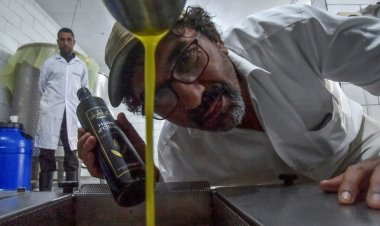 رفع الدعم عن المواد الاستهلاكية في الجزائر